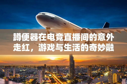 蹲便器在电竞直播间的意外走红，游戏与生活的奇妙融合