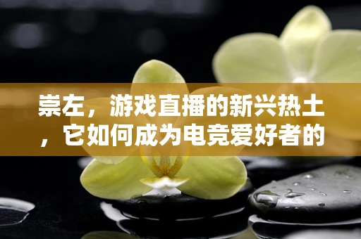 崇左，游戏直播的新兴热土，它如何成为电竞爱好者的新宠？