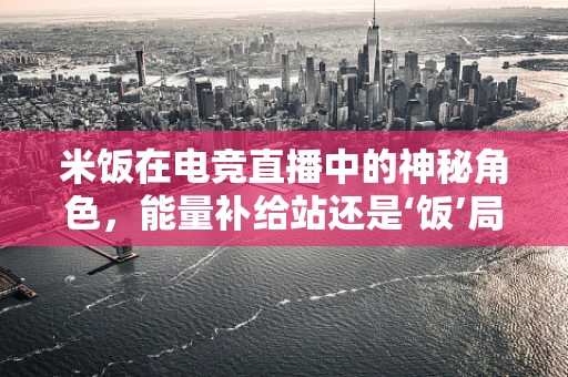 米饭在电竞直播中的神秘角色，能量补给站还是‘饭’局话题？