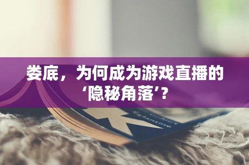 娄底，为何成为游戏直播的‘隐秘角落’？