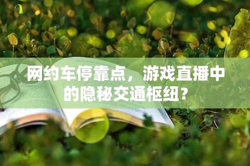 网约车停靠点，游戏直播中的隐秘交通枢纽？