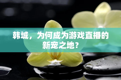韩城，为何成为游戏直播的新宠之地？