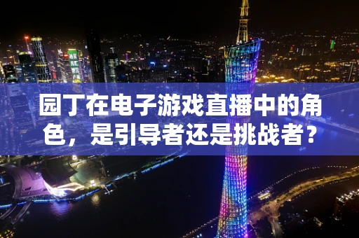 园丁在电子游戏直播中的角色，是引导者还是挑战者？