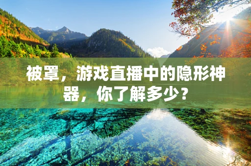 被罩，游戏直播中的隐形神器，你了解多少？