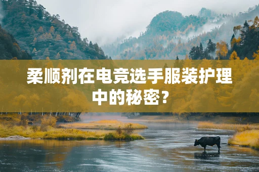 柔顺剂在电竞选手服装护理中的秘密？