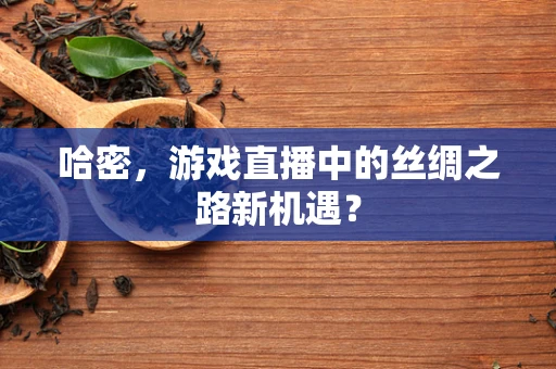哈密，游戏直播中的丝绸之路新机遇？