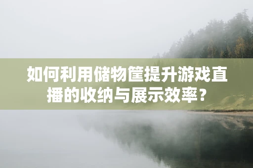 如何利用储物筐提升游戏直播的收纳与展示效率？