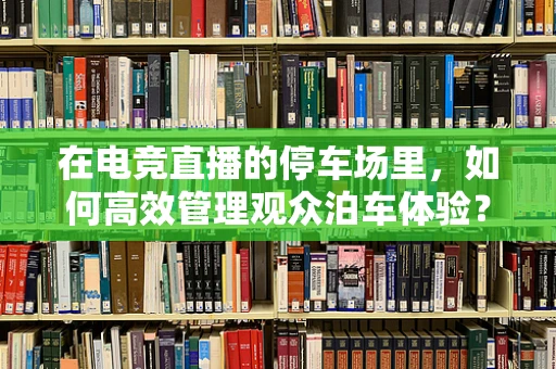 在电竞直播的停车场里，如何高效管理观众泊车体验？