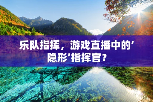 乐队指挥，游戏直播中的‘隐形’指挥官？
