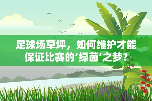 足球场草坪，如何维护才能保证比赛的‘绿茵’之梦？