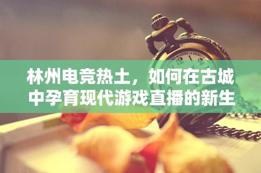 林州电竞热土，如何在古城中孕育现代游戏直播的新生态？