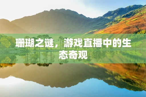 珊瑚之谜，游戏直播中的生态奇观