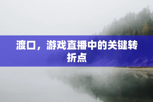 渡口，游戏直播中的关键转折点