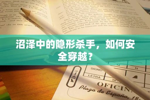 沼泽中的隐形杀手，如何安全穿越？