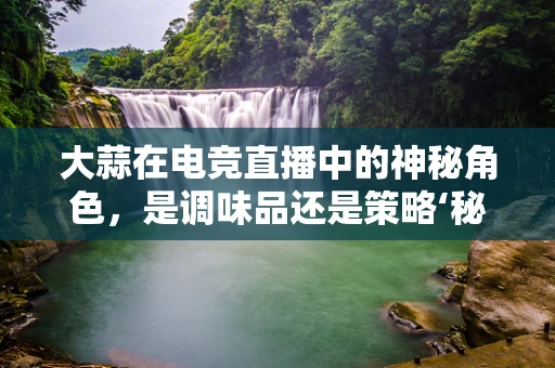 大蒜在电竞直播中的神秘角色，是调味品还是策略‘秘籍’？