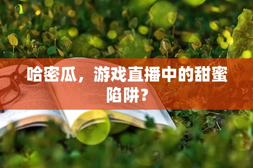 哈密瓜，游戏直播中的甜蜜陷阱？