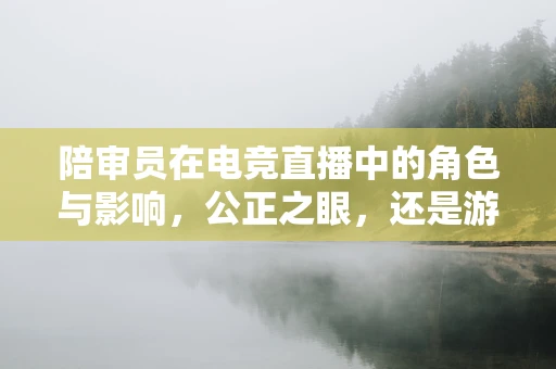 陪审员在电竞直播中的角色与影响，公正之眼，还是游戏迷的‘第六感’？