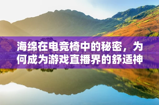海绵在电竞椅中的秘密，为何成为游戏直播界的舒适神器？