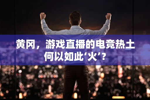 黄冈，游戏直播的电竞热土何以如此‘火’？