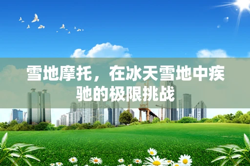 雪地摩托，在冰天雪地中疾驰的极限挑战