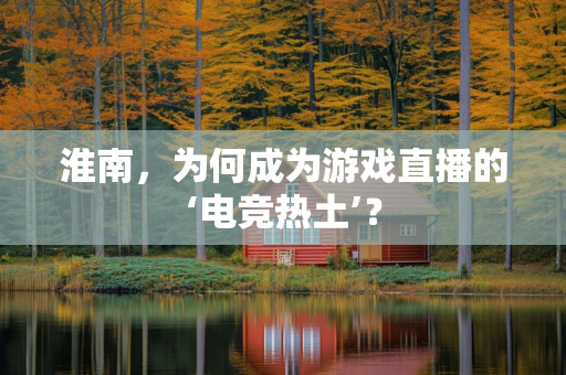 淮南，为何成为游戏直播的‘电竞热土’？