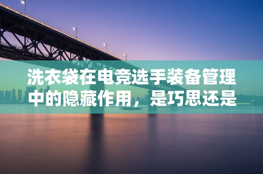 洗衣袋在电竞选手装备管理中的隐藏作用，是巧思还是多余？