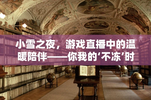 小雪之夜，游戏直播中的温暖陪伴——你我的‘不冻’时刻