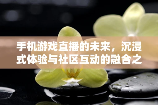 手机游戏直播的未来，沉浸式体验与社区互动的融合之路？