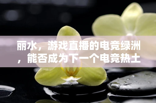 丽水，游戏直播的电竞绿洲，能否成为下一个电竞热土？