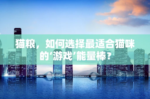 猫粮，如何选择最适合猫咪的‘游戏’能量棒？