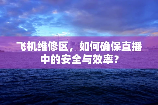 飞机维修区，如何确保直播中的安全与效率？