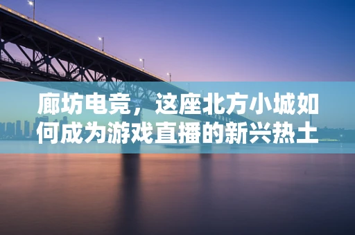 廊坊电竞，这座北方小城如何成为游戏直播的新兴热土？
