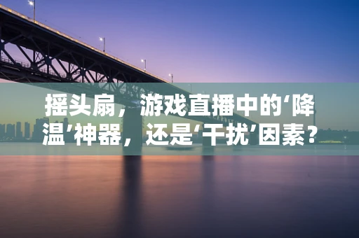 摇头扇，游戏直播中的‘降温’神器，还是‘干扰’因素？