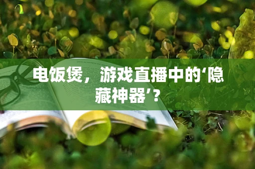 电饭煲，游戏直播中的‘隐藏神器’？