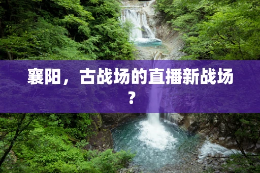 襄阳，古战场的直播新战场？