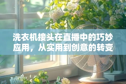 洗衣机接头在直播中的巧妙应用，从实用到创意的转变