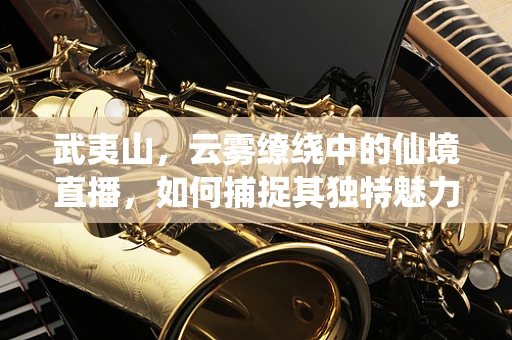 武夷山，云雾缭绕中的仙境直播，如何捕捉其独特魅力？