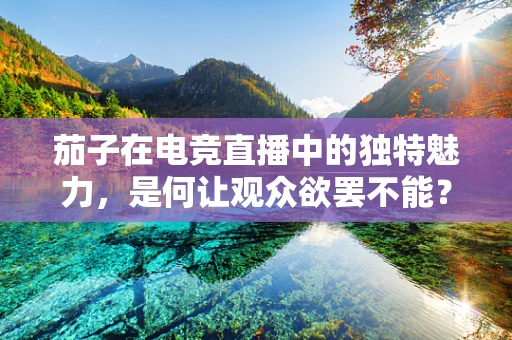 茄子在电竞直播中的独特魅力，是何让观众欲罢不能？