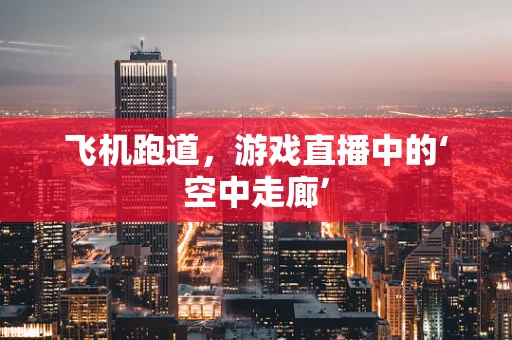 飞机跑道，游戏直播中的‘空中走廊’