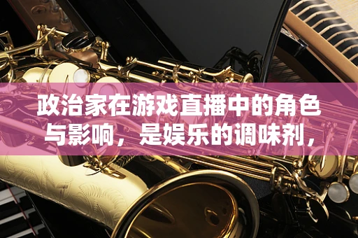 政治家在游戏直播中的角色与影响，是娱乐的调味剂，还是社会议题的引导者？