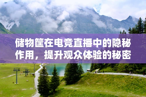储物筐在电竞直播中的隐秘作用，提升观众体验的秘密武器？
