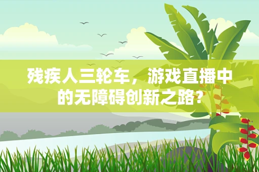 残疾人三轮车，游戏直播中的无障碍创新之路？