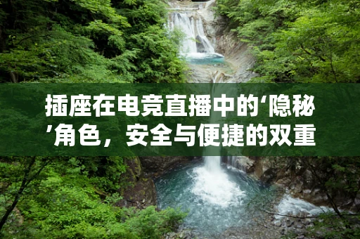 插座在电竞直播中的‘隐秘’角色，安全与便捷的双重保障