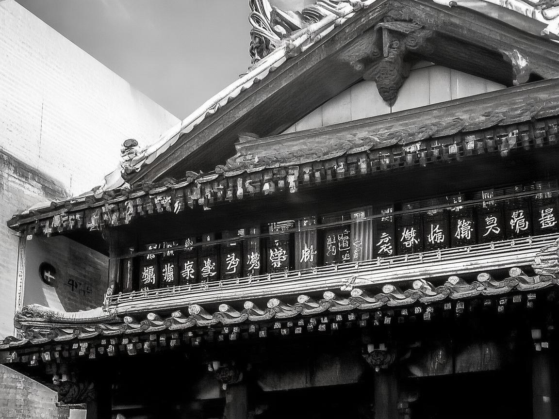 菜籽油在电竞直播中的‘隐形’作用，助力选手手速还是厨房必备？